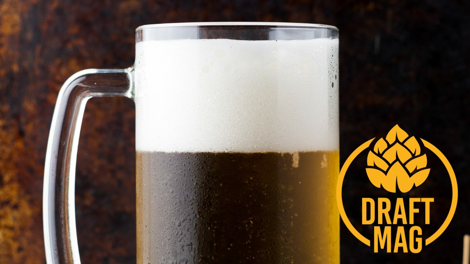 Guinness Blonde Review Does This Unique Brew Fit The Lager Style