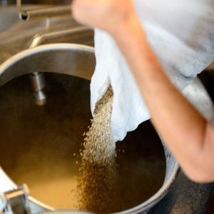 Brewing process mashing