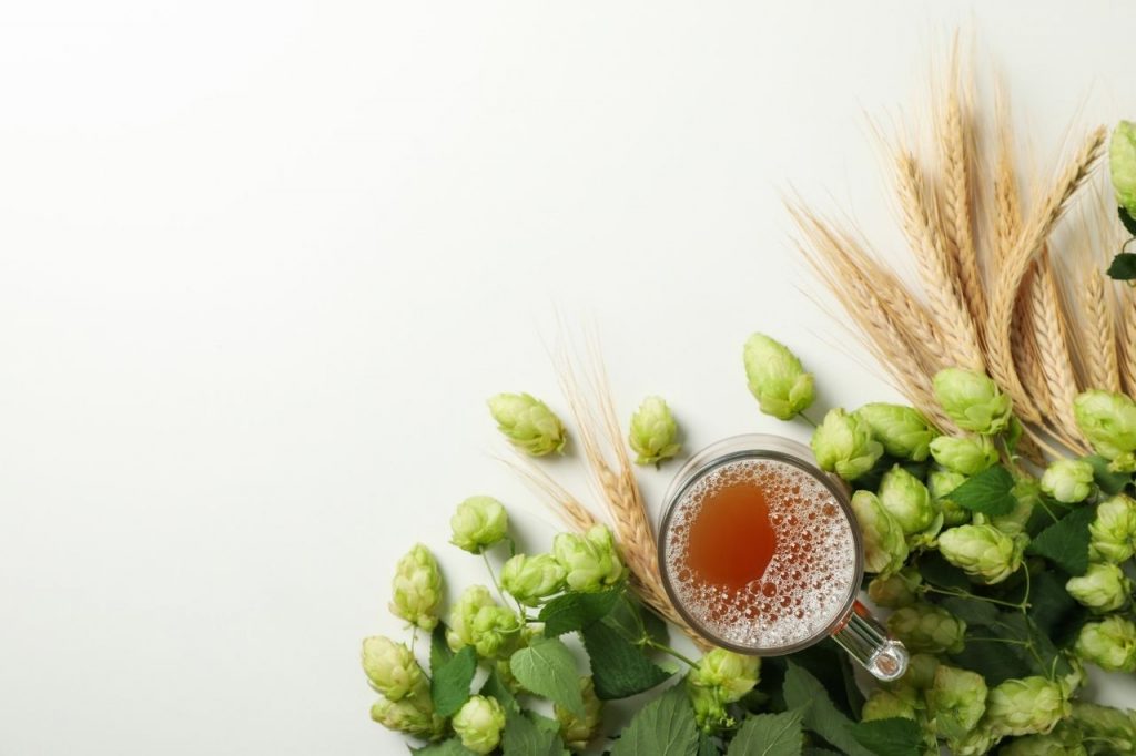 Galaxy Hop Substitute The Only Guide You Will Ever Need