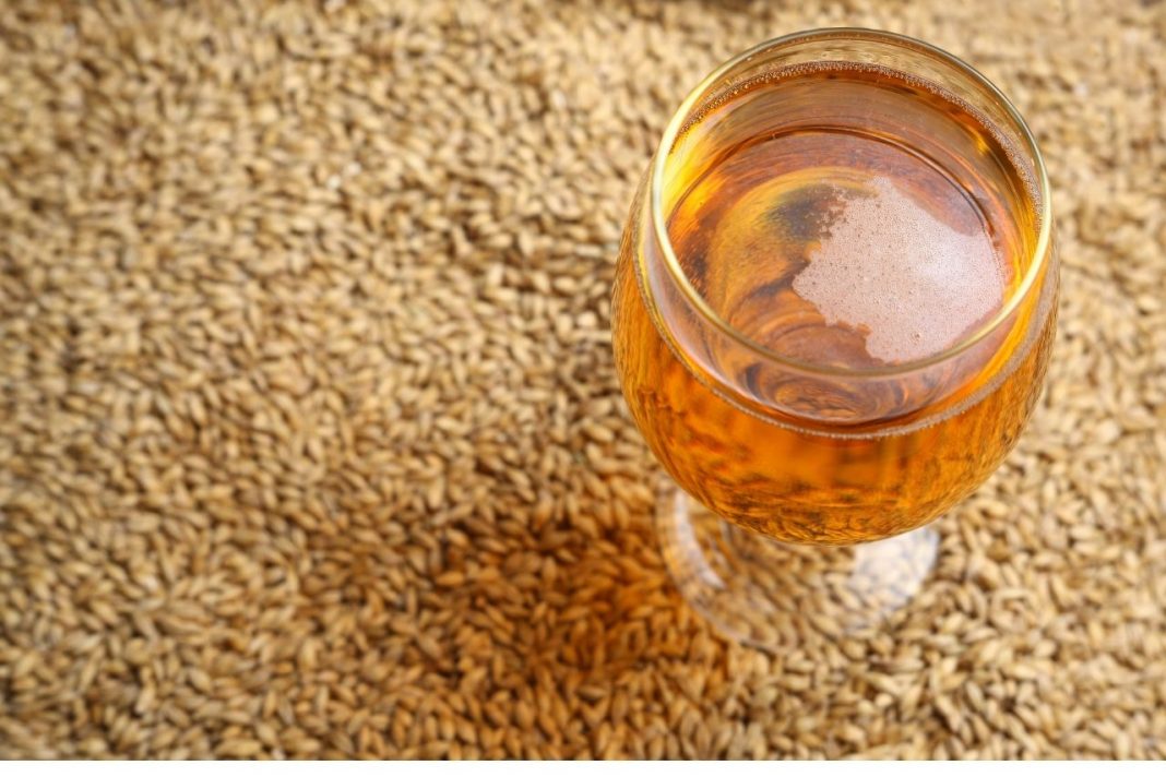 Victory Malt Substitute A List of the Best Alternatives