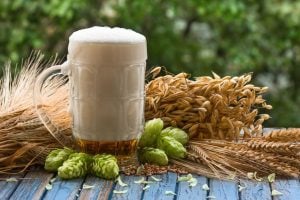Victory Malt Substitute: A List of Alternatives for a Perfect Brew