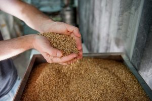 What is the best vienna malt substitute