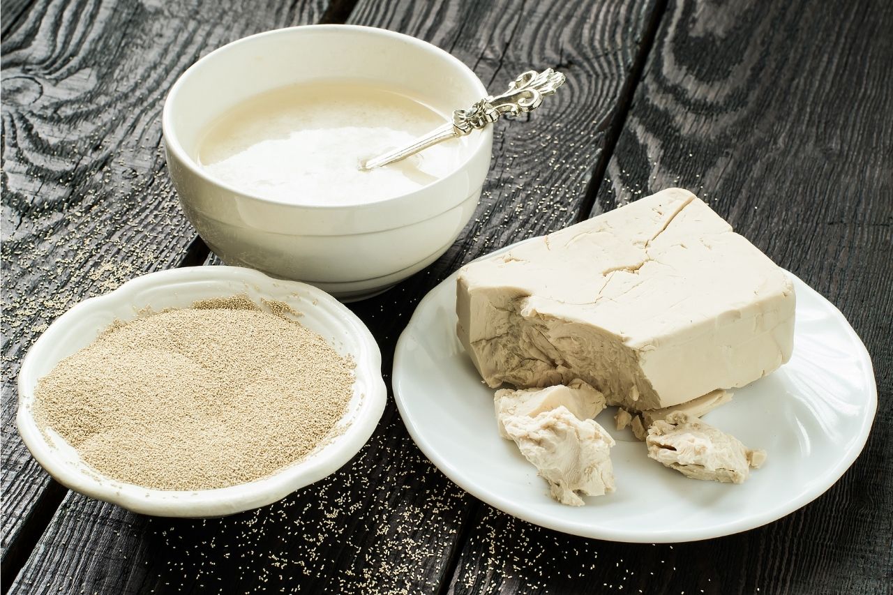 Yeast Starter Learn to Make Delicious Beer at Home With This Recipe