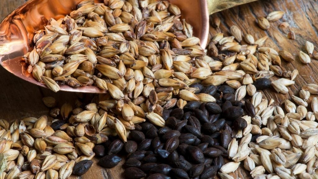 Pilsner Malt vs 2 Row Malt Comparative Review For These Two Malts