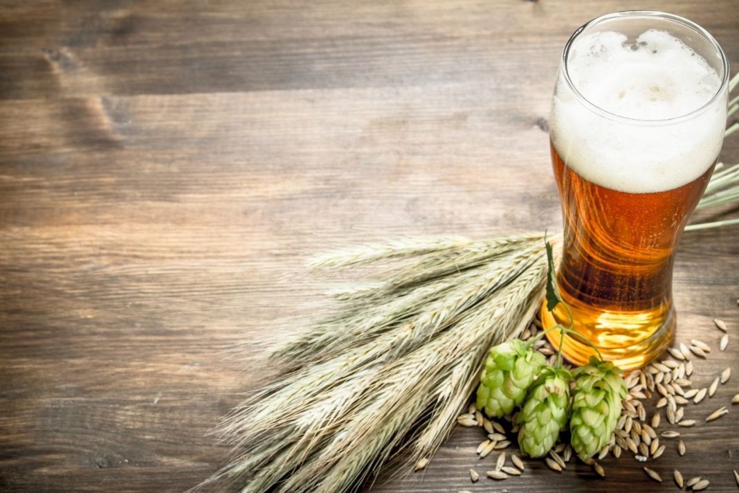 Double DryHopping The Trend That Is Changing the Face of Brewing