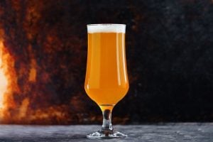 Goose island ipa review