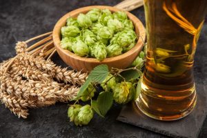 Single dry hopping vs double dry hopping