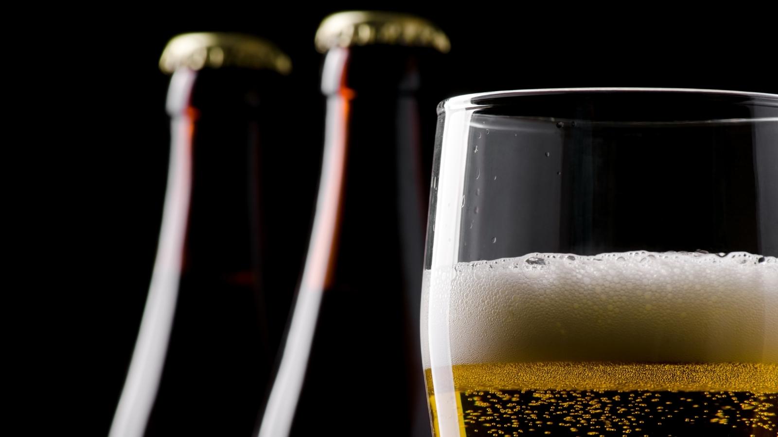 Best Aldi Beer Top Grocery Store Beer Brands for You To Try