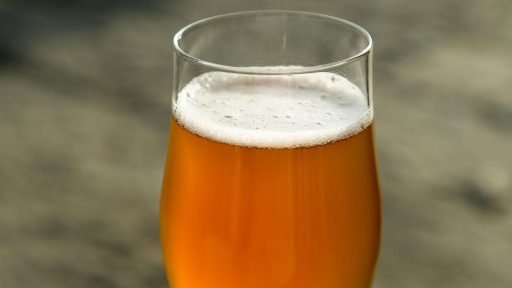 Lager vs Ale: How Are These Two Beer Types Different?