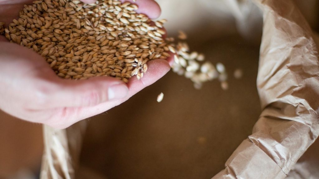 Red IPA Recipe Everything You Need to Know About Making It