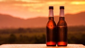 The Best Aldi Beer Brands Available at U.S. Aldi Grocery Stores   