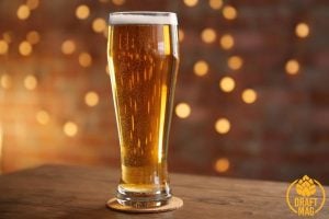 Best Light Beer: A Definitive List of the Tastiest Low-calorie Beers