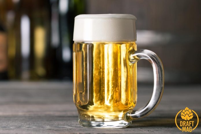 Best Light Beer: Delicious Beers Without the Calories