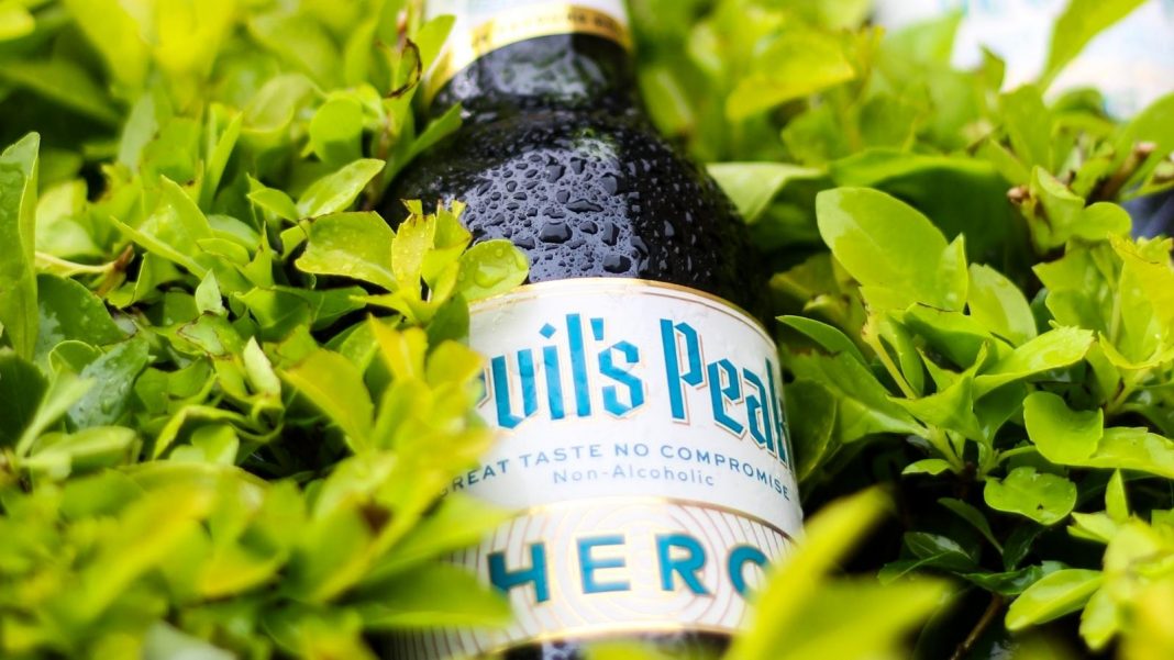 Low or Free Purine Beer A Guide to the Best Beers for Gout