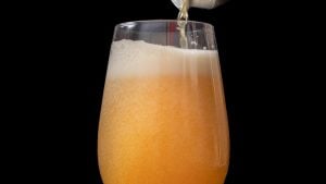 Brut ipa beer recipe