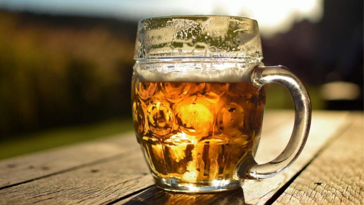 Best Czech Beer: Check Out Our Top Brands of This Well-loved Drink