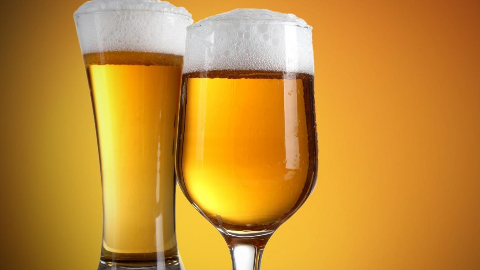 Busch Light vs. Bud Light What Makes These Two Beers So Different?