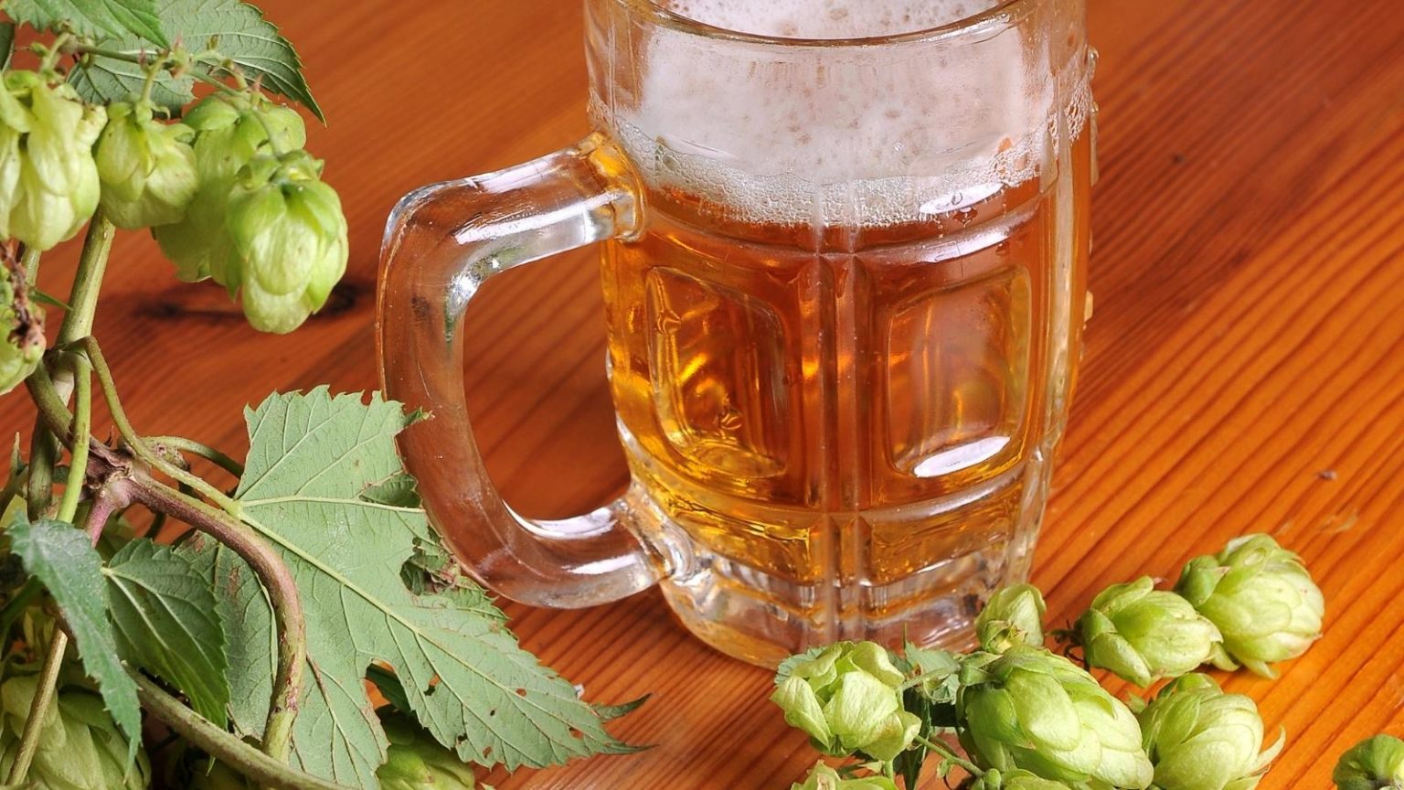 Citra IPA Recipe StepbyStep Guide On How to Make It