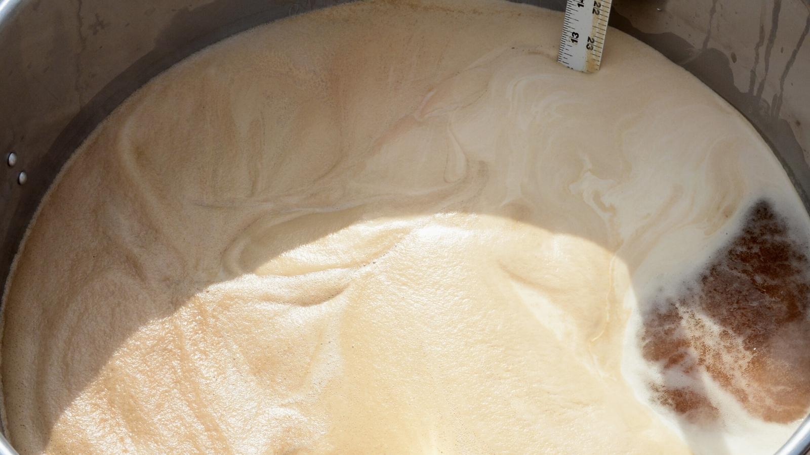 All Grain vs Extract Brewing Processes, Pros and Cons