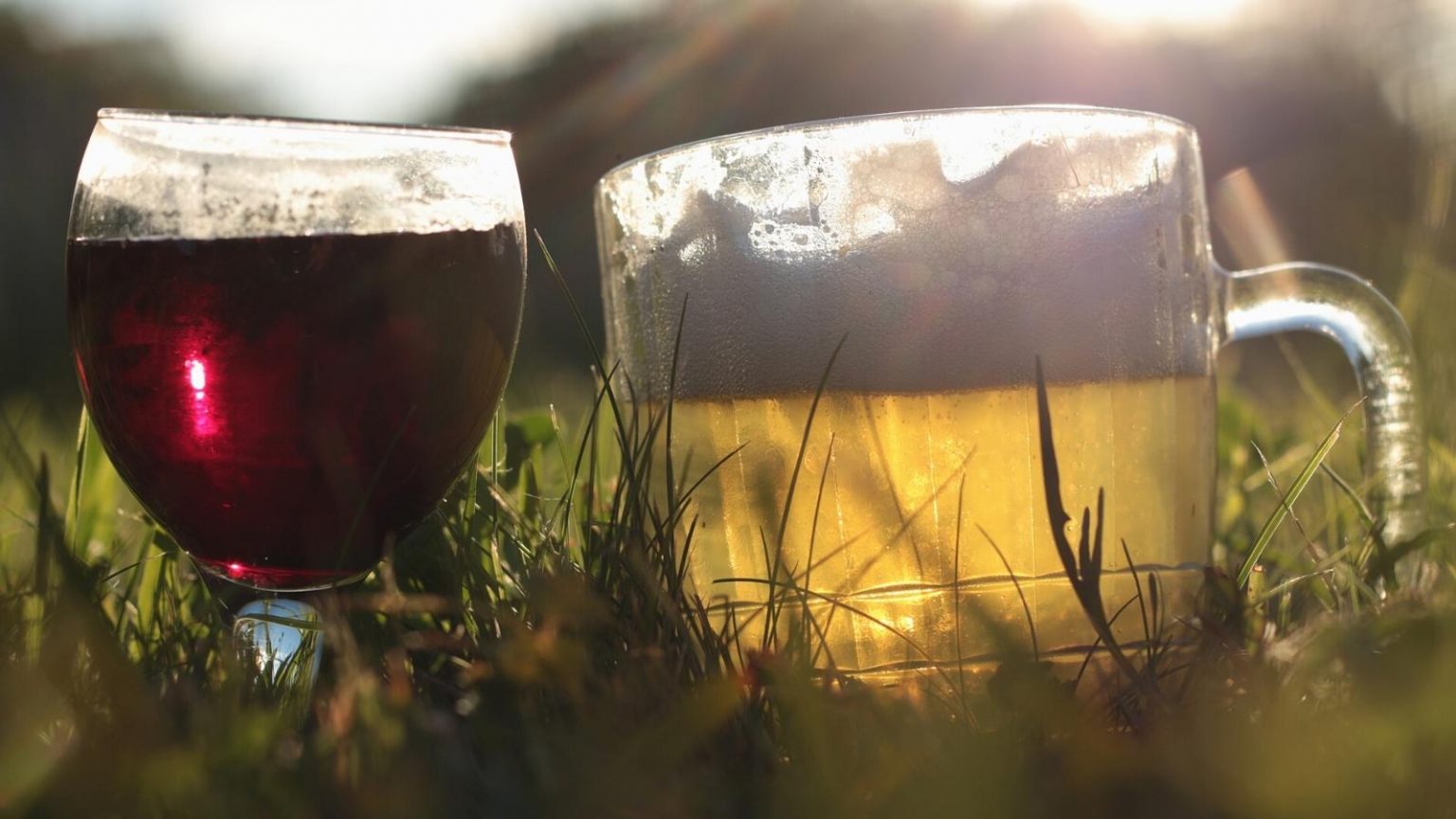 Mixing Beer and Wine Is This Combination or Not?