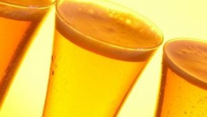 Grolsch beers golden color