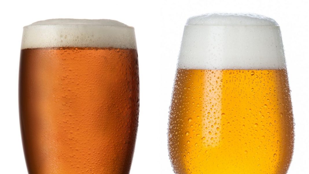 Ale vs Beer A Complete Guide to Key Differences and Similarities
