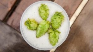 Ipa with citra hops