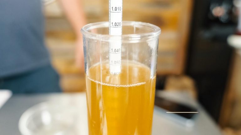 Highest Alcohol Content Beer: A List of the Strongest Beer Brands