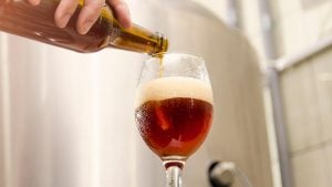 Pouring popular ipa beer in brewery