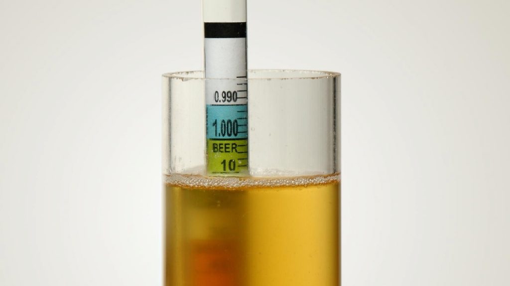 How To Read a Hydrometer Easy, Comprehensive Guide for Brewing Beer