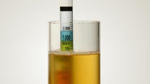 Read a hydrometer for beer
