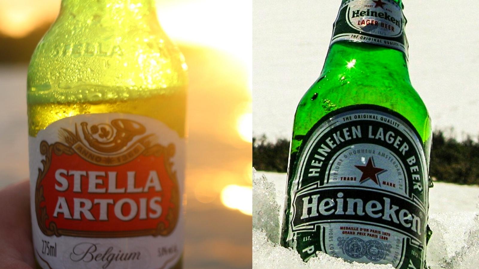 Stella Artois vs Heineken: How To Distinguish The Two Beers
