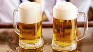 Two beer glasses with american lager beer