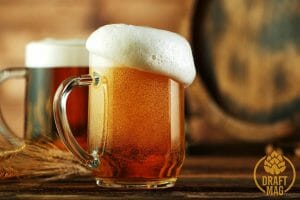 Beer Head Dissected: Here’s Why Your Beer Is Tasteless Without One