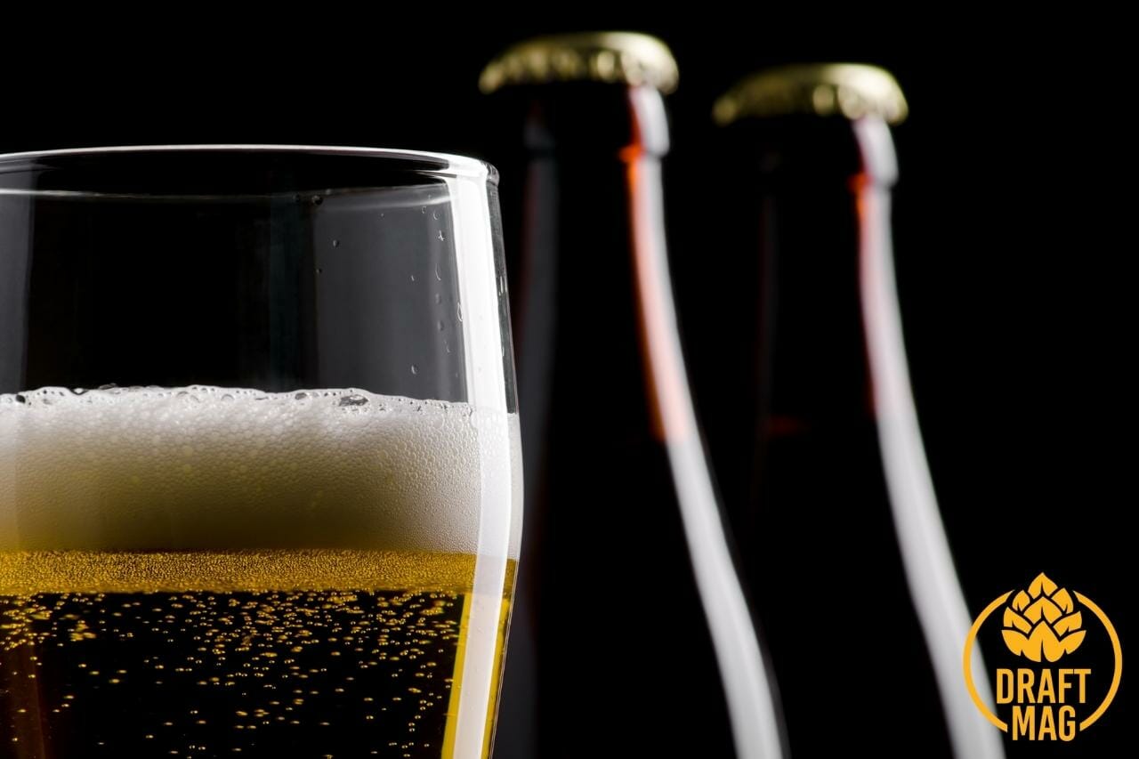 Highest Alcohol Content Beer: A List of the Strongest Beer Brands