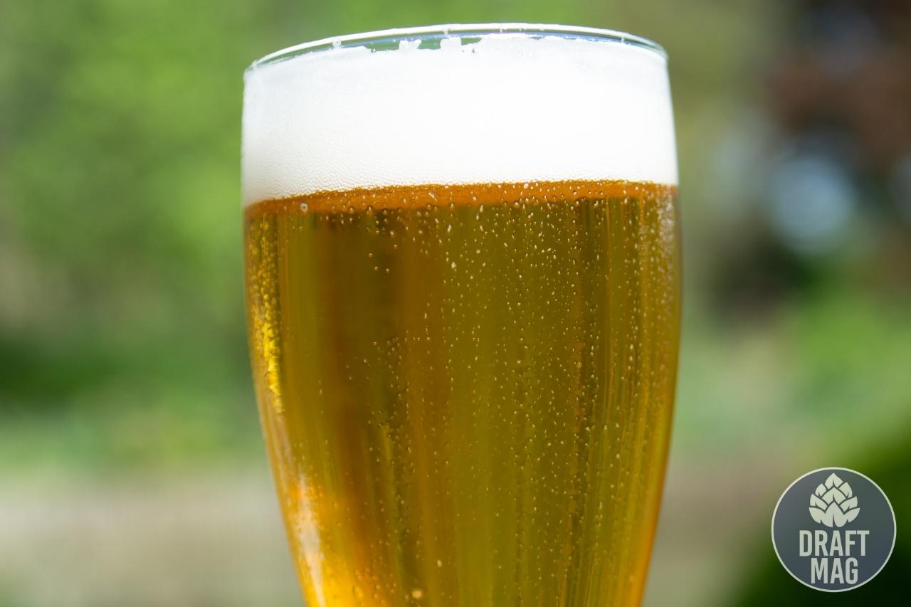 Best Belgian White Beer Enthusiasts’ Guide to the Top Belgian Beers