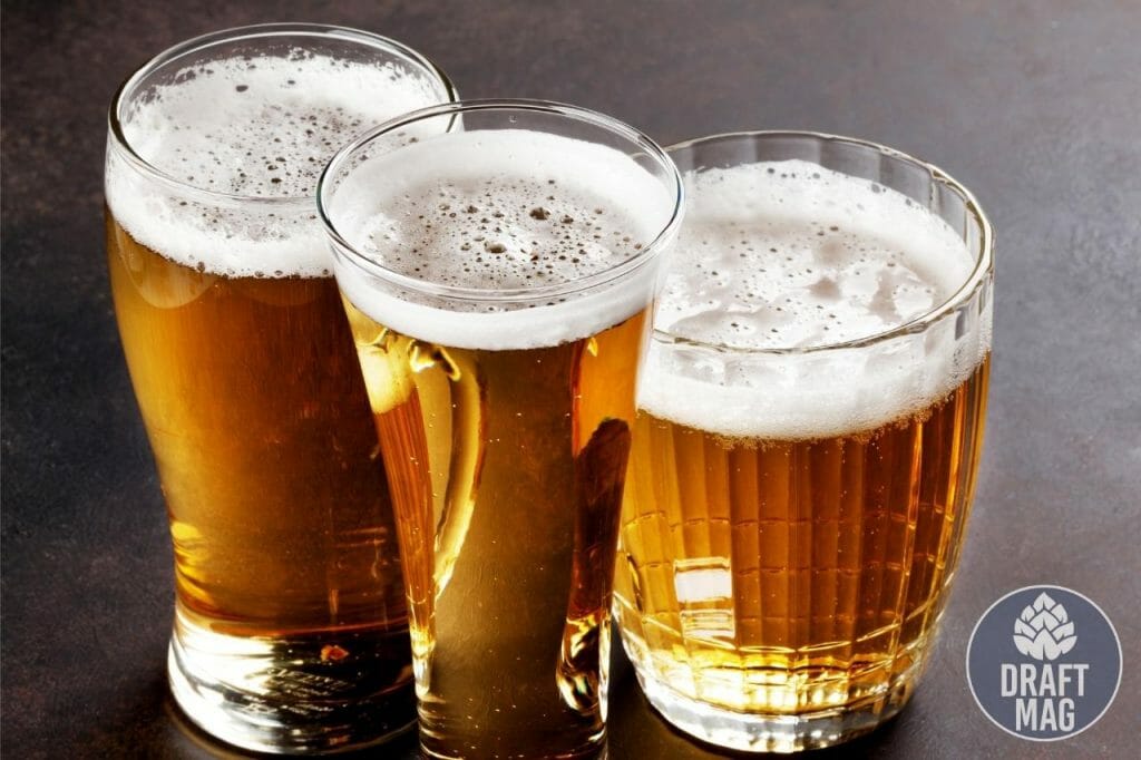 Best Lager Beer The Most Popular Bottomfermented Beers To Try