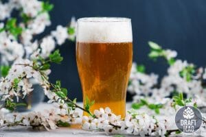 Best Low Calorie IPA: Top Choices When You’re Watching Your Intake
