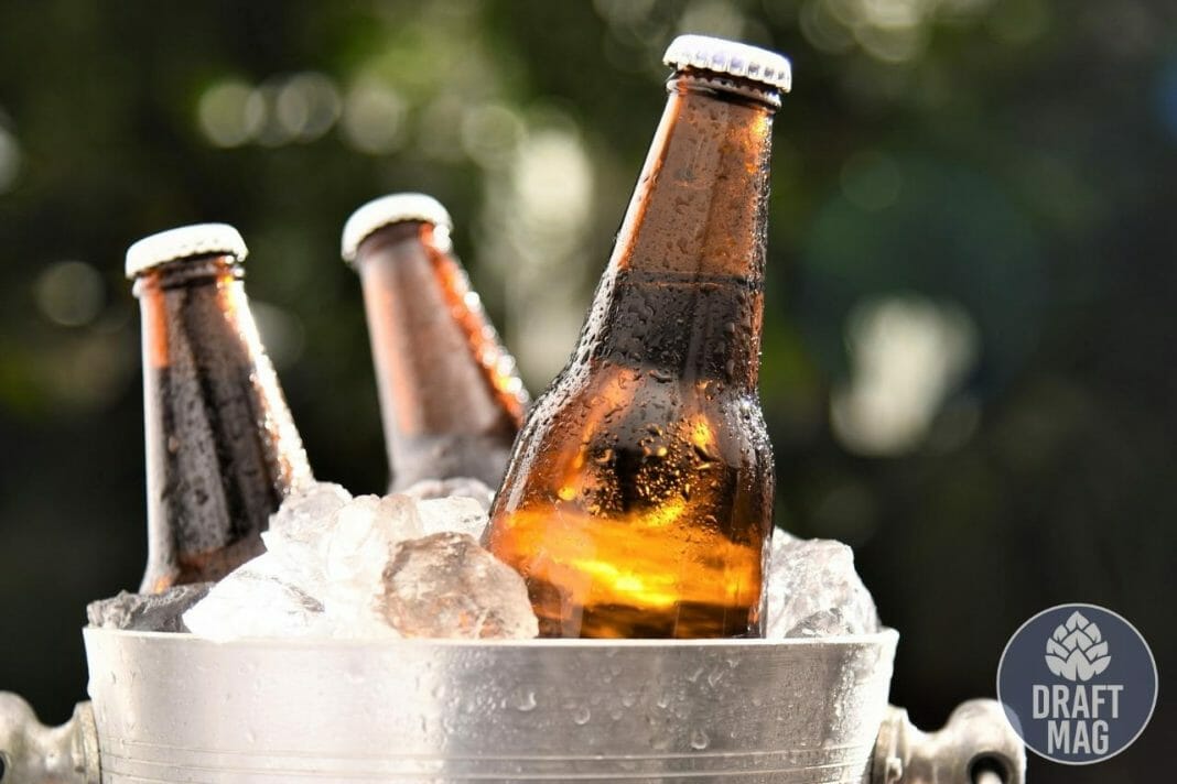 Best North Carolina Beer A Detailed Review Guide for NC Beers