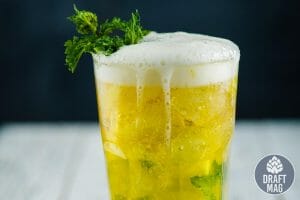 Bud light lemonade beer review