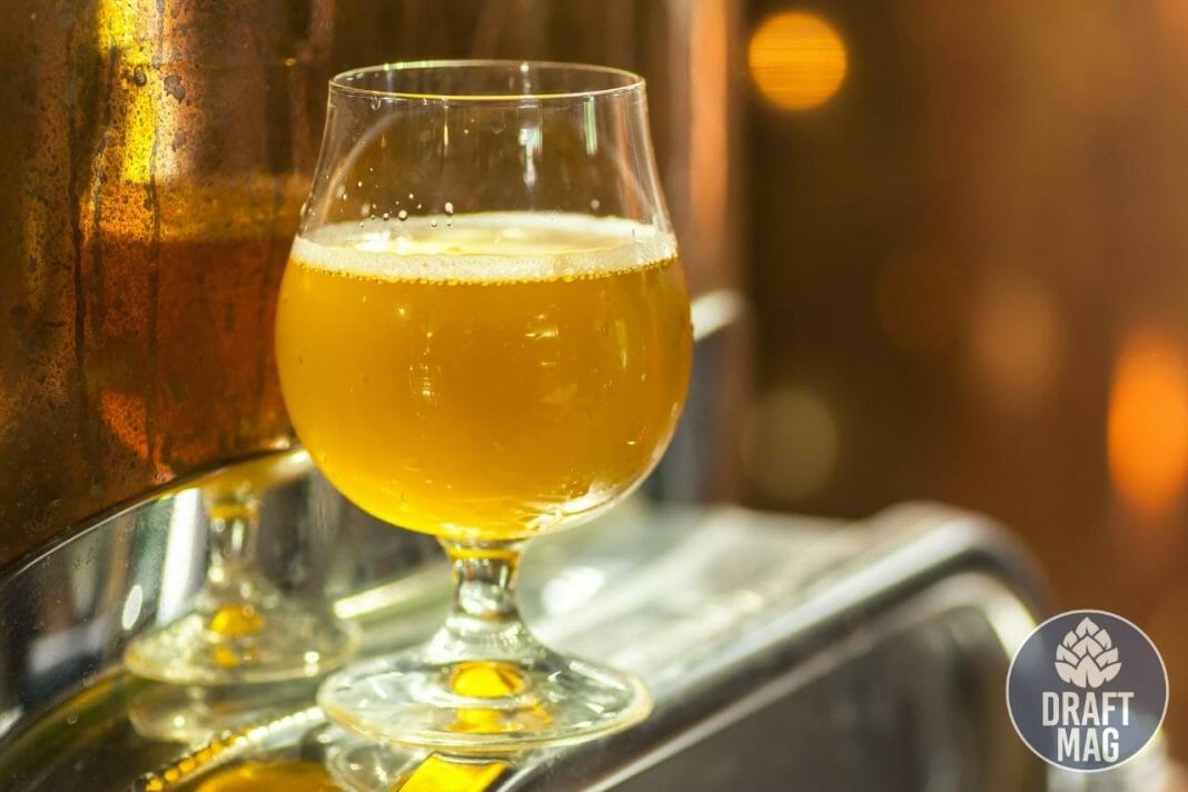 Sierra Nevada Pale Ale Recipe Guide to All Grain and Extract Recipes