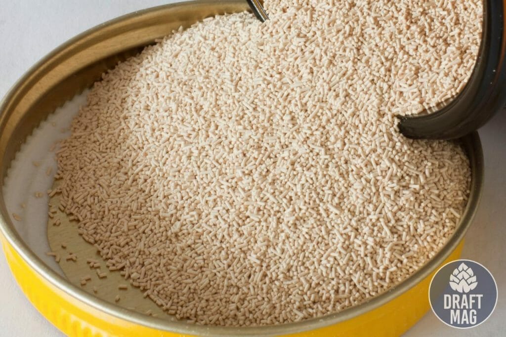 Yeast Washing How To Go About It — Methods, Dos and Don’ts