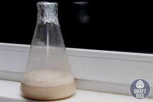 Rehydrating Dried Yeast: Active Yeast For Rapid Fermentation 