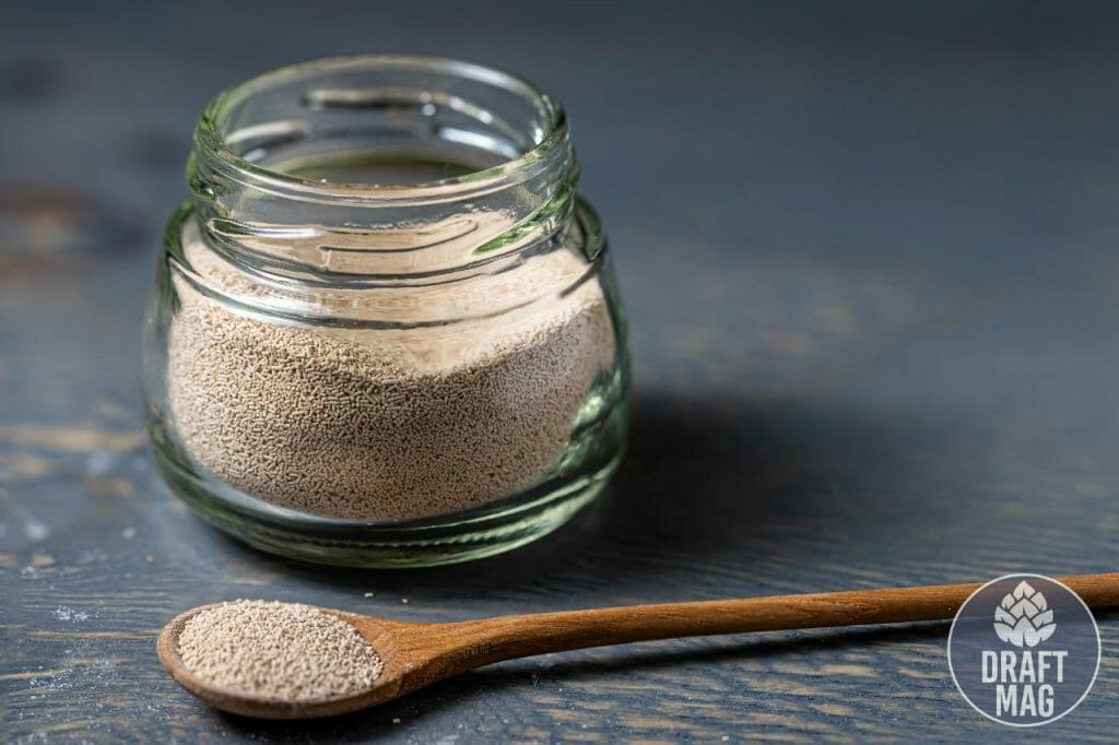 Yeast Washing How To Go About It — Methods, Dos and Don’ts