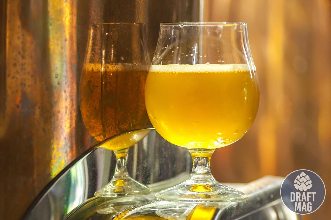 Sierra Nevada Pale Ale Recipe Guide to All Grain and Extract Recipes