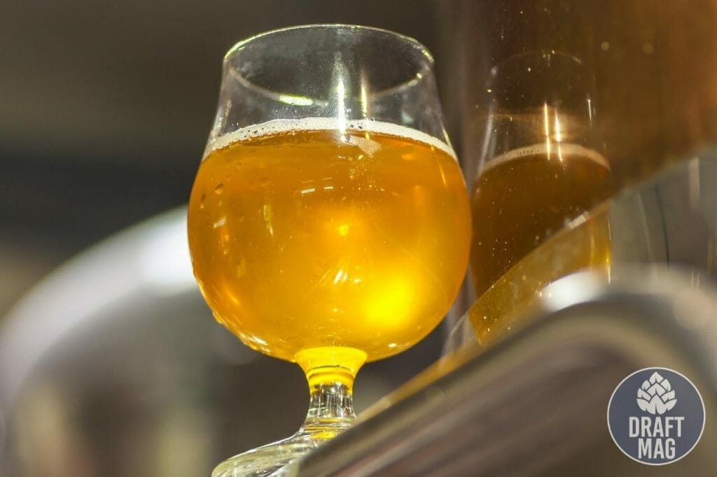 Sierra Nevada Pale Ale Recipe Guide to All Grain and Extract Recipes