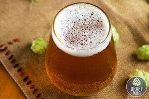 West coast ipa beer recipe