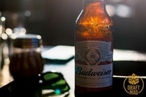 Budweiser review