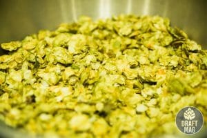 First Wort Hopping: A Guide to How and Why You Should Do This