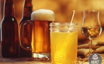 Honey Beer Recipe: Tips and Tricks To Make the Best Sweet Beer Honey beer recipe